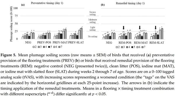 Remedying Contact Dermatitis in Broiler Chickens with Novel Flooring Treatments - Image 8