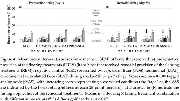 Remedying Contact Dermatitis in Broiler Chickens with Novel Flooring Treatments - Image 7