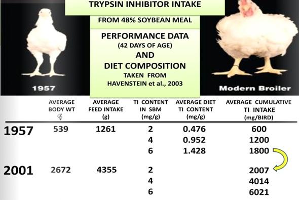 Trypsin Inhibitor, the hidden enemy in Soyabean Meal - Image 6