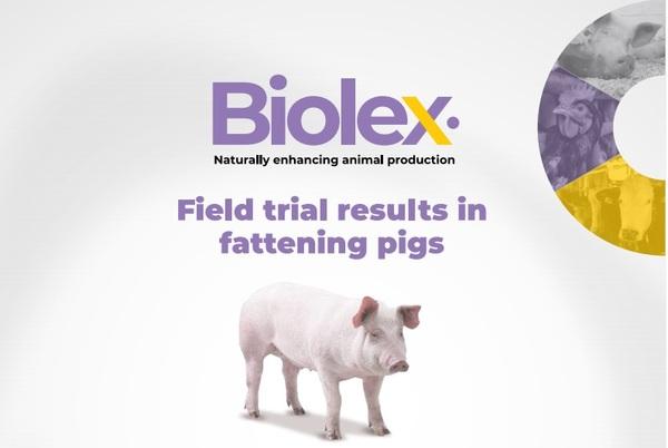 Field trial results in fattening pigs - Image 1