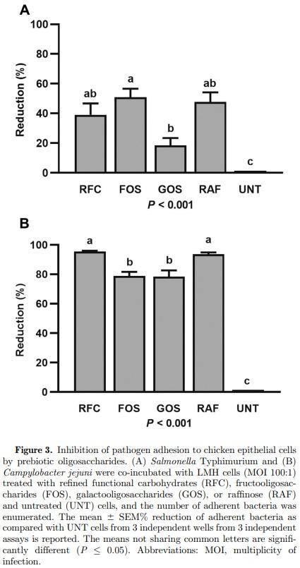 Refined functional carbohydrates reduce adhesion of Salmonella and Campylobacter to poultry epithelial cells in vitro - Image 4