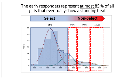 The response profile showing the percentage of gilts reaching pubertal estrus within successive 10-days periods in response to daily stimulation with mature boars from 160 to 260 days of age. Approaching 100% of gilts showed estrus within the 100-day period but distribution analysis identified and initial response profile involving the 85% of gilts that were recorded in pubertal estrus between 160 and 210 days of age. The remaining 15% of gilts seemed to be part of a different response population. From Valet, 2015.