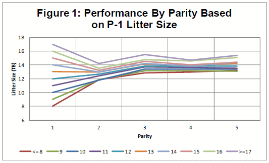 Data demonstrating that first litter size is predictive of total born in later parities in commercial sow populations. From Pinilla et al. (2014).