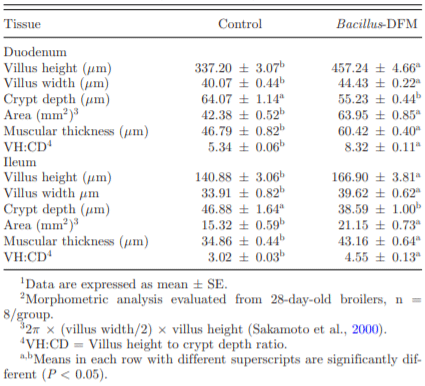 Table 6. Morphometric analysis of duodenum and ileal tissue in chickens at 28 d of age (Experiment 2).1 , 2