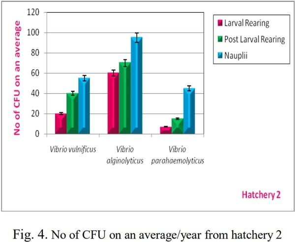 Isolation, Identification and Biochemical Characterization of Vibrios Species from Shrimp Hatcheries near Pondicherry Coast, Tamilnadu, India - Image 5