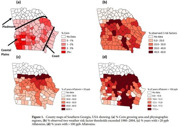 Determining future aflatoxin contamination risk scenarios for corn in Southern Georgia, USA using spatio-temporal modelling and future climate simulations - Image 1