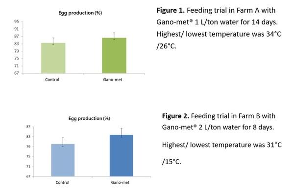 Effect of Gano-met® on egg production in laying hens during hot season - Image 1