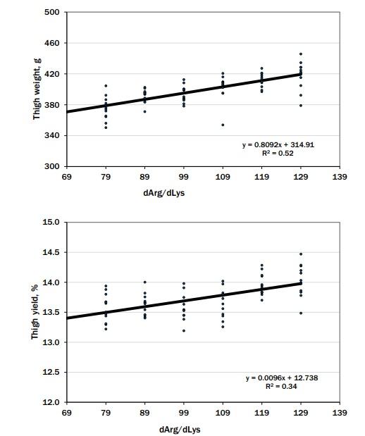 Determination of the optimal digestible arginine to lysine ratio in Ross 708 male broilers - Image 1