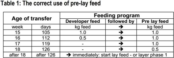 How to Feed Layers Until 100 Weeks? – A Practical Approach - Image 1