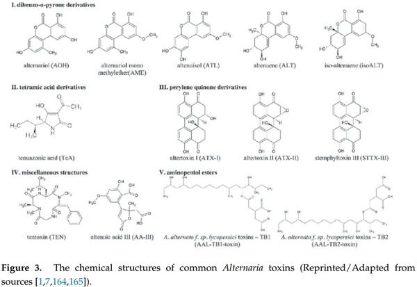 Mycotoxins Affecting Animals, Foods, Humans, and Plants: Types, Occurrence, Toxicities, Action Mechanisms, Prevention, and Detoxification Strategies—A Revisit - Image 2