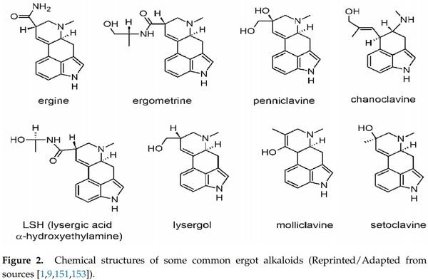 Mycotoxins Affecting Animals, Foods, Humans, and Plants: Types, Occurrence, Toxicities, Action Mechanisms, Prevention, and Detoxification Strategies—A Revisit - Image 1