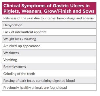 Impact of gastric ulcers - Image 1