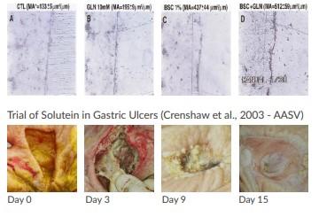 Impact of gastric ulcers - Image 4