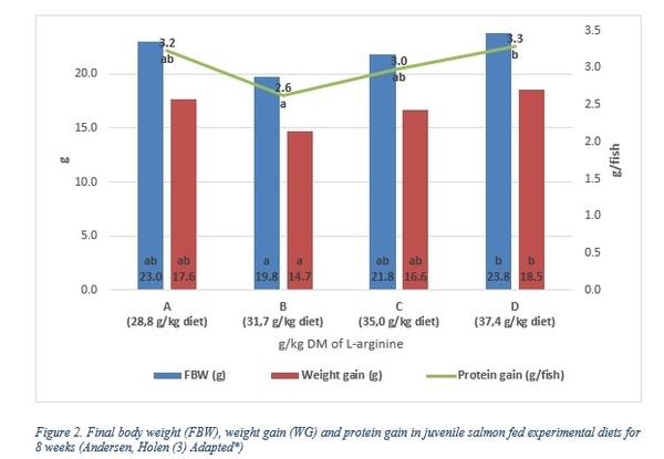 Effects of Dietary Arginine on Growth Performance and Health in Fish - Image 1
