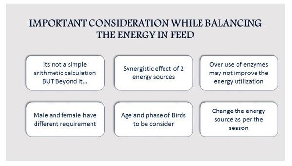 Better Energy utilization: Key for Profitable Poultry Farming - Image 7