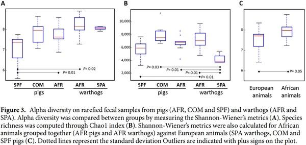 Comparative analysis of the fecal microbiota from different species of domesticated and wild suids - Image 5