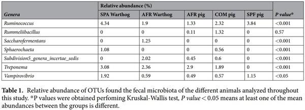 Comparative analysis of the fecal microbiota from different species of domesticated and wild suids - Image 3