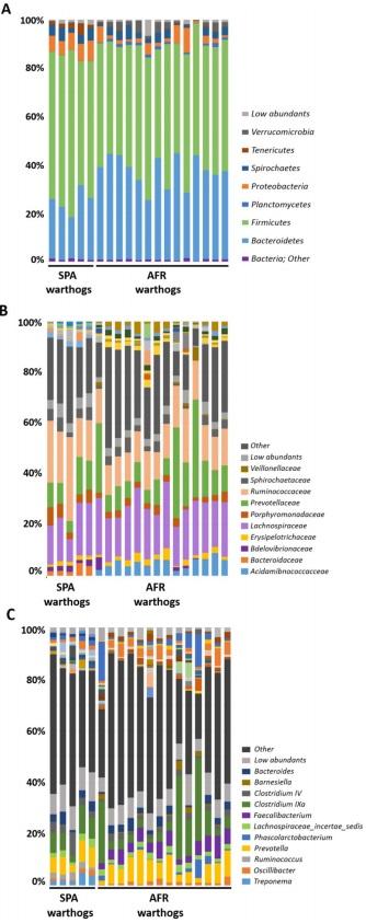 Comparative analysis of the fecal microbiota from different species of domesticated and wild suids - Image 4