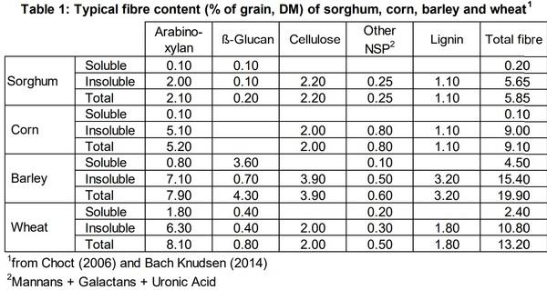 Australian sorghum for broilers: value and opportunity - Image 1