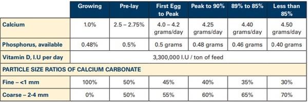 Nutritional strategies to achieve 500 eggs in 100 weeks in high-production layers - Image 28