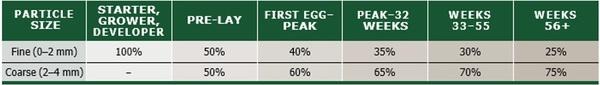 Nutritional strategies to achieve 500 eggs in 100 weeks in high-production layers - Image 18