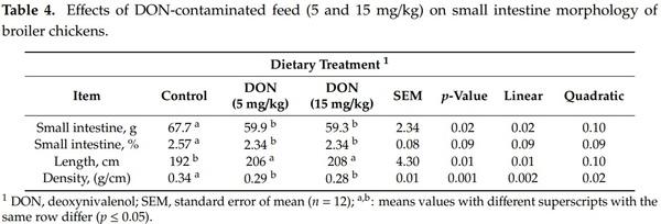 Effects of Deoxynivalenol-Contaminated Diets on Productive, Morphological, and Physiological Indicators in Broiler Chickens - Image 4