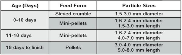 Nutritional requirements of modern broilers - Image 34