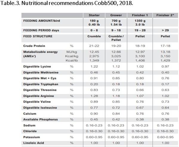 Nutritional requirements of modern broilers - Image 12