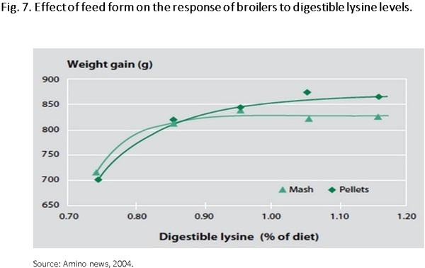 Nutritional requirements of modern broilers - Image 10
