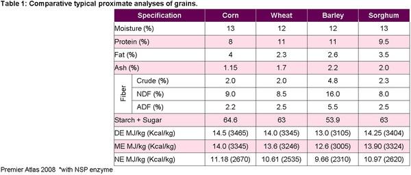 Australian barley, wheat and sorghum as alternative grains in pig diets in Asia - Image 1