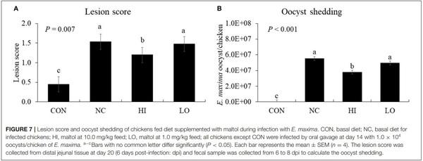 Effects of Dietary Maltol on Innate Immunity, Gut Health, and Growth Performance of Broiler Chickens Challenged With Eimeria maxima - Image 10