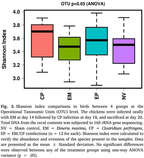 Effects of Eimeria maxima and Clostridium perfringens infections on cecal microbial composition and the possible correlation with body weight gain in broiler chickens - Image 3