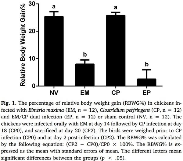 Effects of Eimeria maxima and Clostridium perfringens infections on cecal microbial composition and the possible correlation with body weight gain in broiler chickens - Image 1