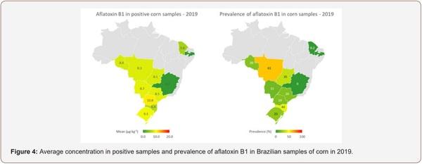 Survey of Mycotoxin in Brazilian Corn by NIR Spectroscopy-Year 2019 - Image 4