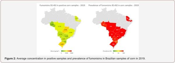 Survey of Mycotoxin in Brazilian Corn by NIR Spectroscopy-Year 2019 - Image 2