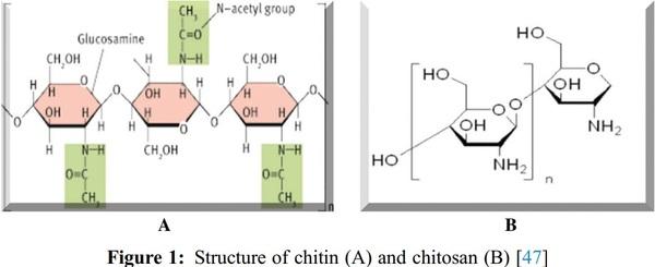 A Review of Various Sources of Chitin and Chitosan in Nature - Image 1