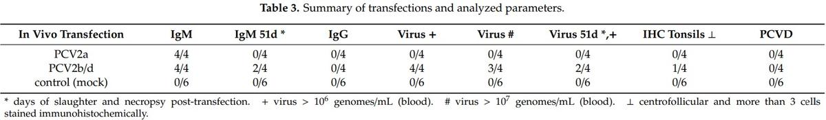 Porcine Circovirus Type 2 Pathogenicity Alters Host’s Central Tolerance for Propagation - Image 7
