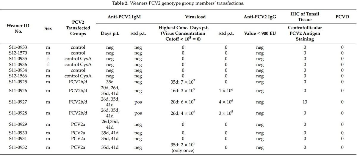 Porcine Circovirus Type 2 Pathogenicity Alters Host’s Central Tolerance for Propagation - Image 5