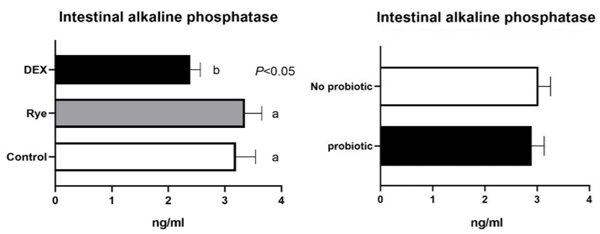 Fig 7. Concentration of intestinal alkaline phosphatase in excreta samples (n = 72) for the main effects of gut barrier dysfunction models and probiotic supplementation. Error bars represent standard error of the mean (SEM). Bars with differing superscripts are statistically different (P< 0.05).