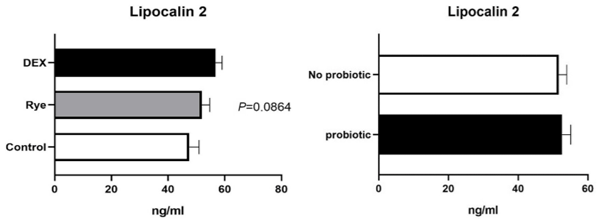Fig 5. Concentration of Lipocalin 2 in excreta samples (n = 72) for the main effects of gut barrier dysfunction models and probiotic supplementation. Error bars represent standard error of the mean (SEM).