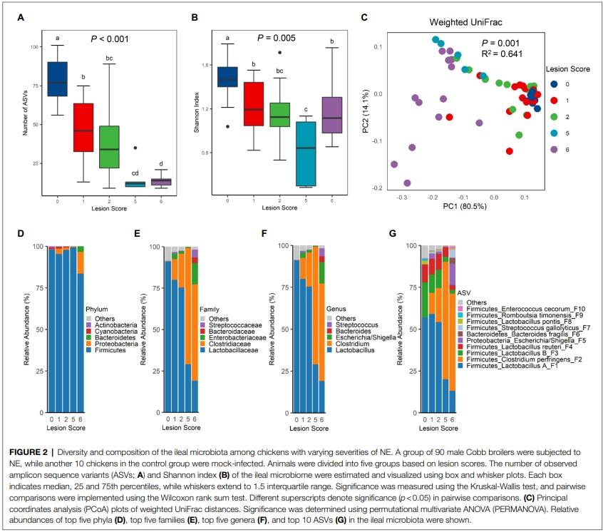 Identification of an Intestinal Microbiota Signature Associated With the Severity of Necrotic Enteritis - Image 3