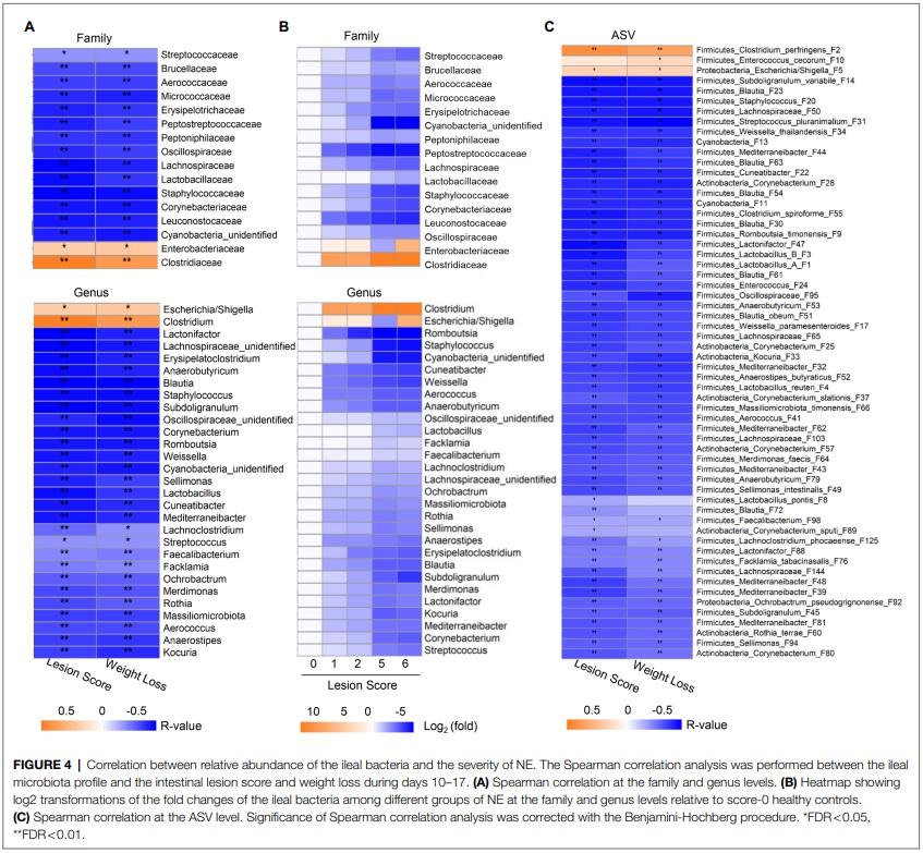 Identification of an Intestinal Microbiota Signature Associated With the Severity of Necrotic Enteritis - Image 7