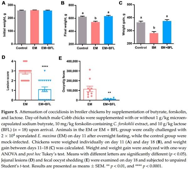 Butyrate, Forskolin, and Lactose Synergistically Enhance Disease Resistance by Inducing the Expression of the Genes Involved in Innate Host Defense and Barrier Function - Image 6
