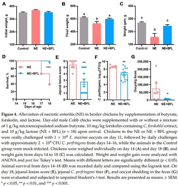 Butyrate, Forskolin, and Lactose Synergistically Enhance Disease Resistance by Inducing the Expression of the Genes Involved in Innate Host Defense and Barrier Function - Image 5