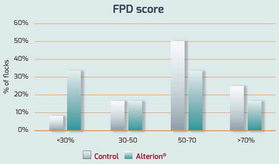 Figure 2: Alterion® reduced severe foot pad dermatitis scores in broilers under commercial conditions Pododermatitis lesions were evaluated at a slaughter level as the % of the birds of the flock that showed severe FPD lesions. The obtained % is the proportion of birds from the flock that showed less than 30%, 30 to 50%, 50 to 70% and over 70% severe FPD lesions.