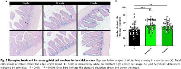 Reserpine improves Enterobacteriaceae resistance in chicken intestine via neuro-immunometabolic signaling and MEK1/2 activation - Image 3