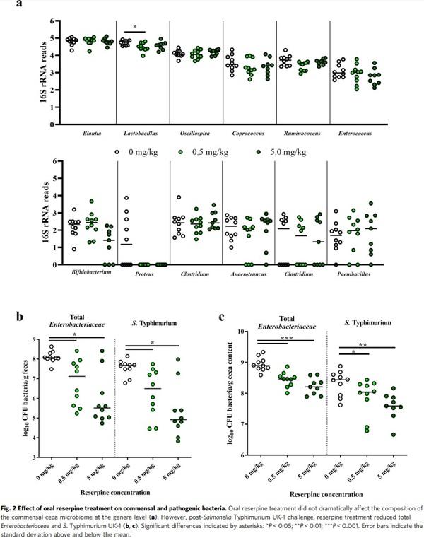 Reserpine improves Enterobacteriaceae resistance in chicken intestine via neuro-immunometabolic signaling and MEK1/2 activation - Image 2