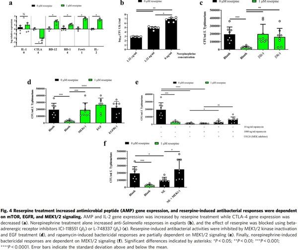 Reserpine improves Enterobacteriaceae resistance in chicken intestine via neuro-immunometabolic signaling and MEK1/2 activation - Image 4