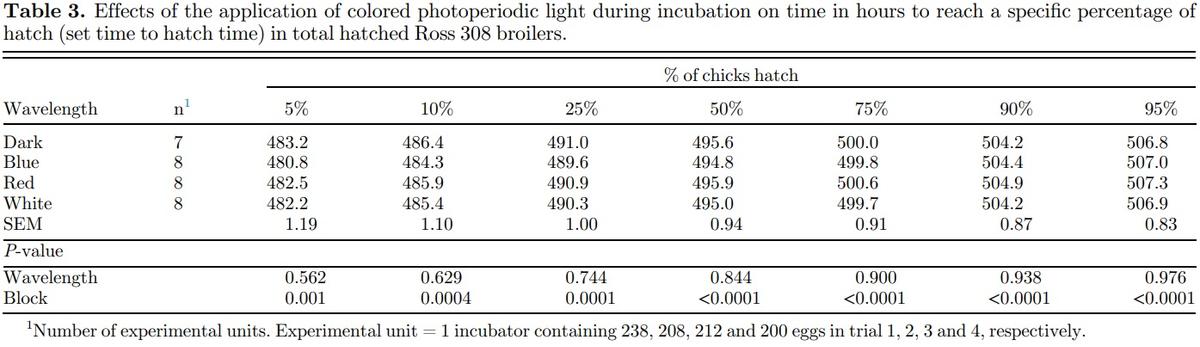 Providing colored photoperiodic light stimulation during incubation: 1. Effects on embryo development and hatching performance in broiler hatching eggs - Image 5