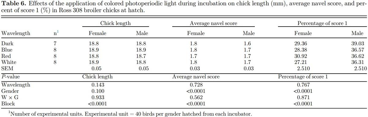Providing colored photoperiodic light stimulation during incubation: 1. Effects on embryo development and hatching performance in broiler hatching eggs - Image 9